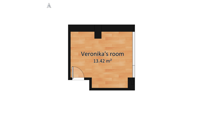 Copy of Veronika Room2 floor plan 15.45