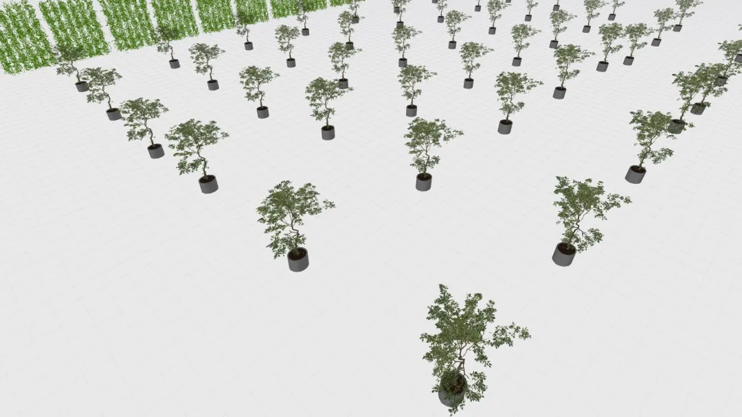 tree 3d design renderings